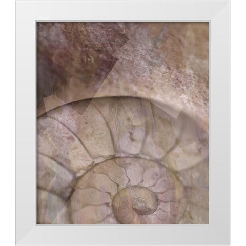 La Concha II Marsala White Modern Wood Framed Art Print by Bartola