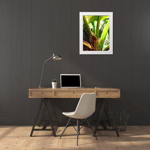 Banana II White Modern Wood Framed Art Print by Franklin