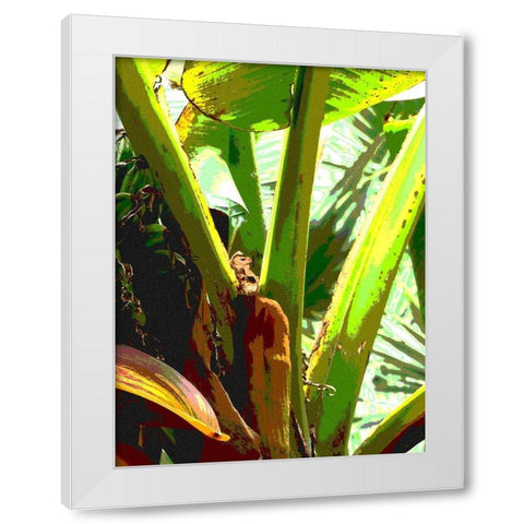 Banana II White Modern Wood Framed Art Print by Franklin