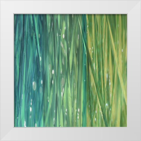 Natural Dance I White Modern Wood Framed Art Print by Franklin
