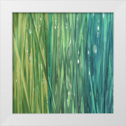 Natural Dance II White Modern Wood Framed Art Print by Franklin