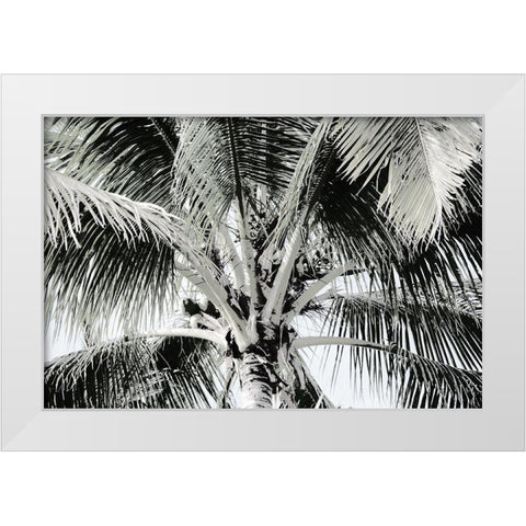 Neutral Palm I White Modern Wood Framed Art Print by Franklin