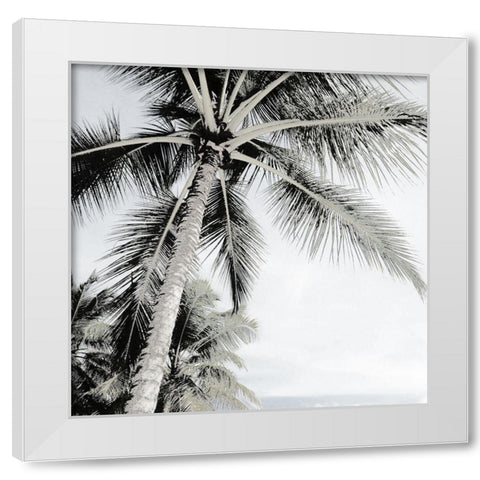 Neutral Palm II White Modern Wood Framed Art Print by Franklin
