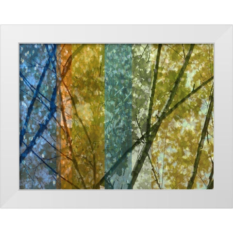 Rainbow Canopy White Modern Wood Framed Art Print by Franklin