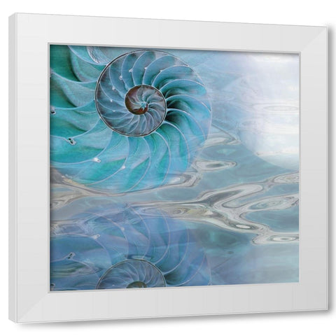 Nautilus Reflection I White Modern Wood Framed Art Print by Franklin