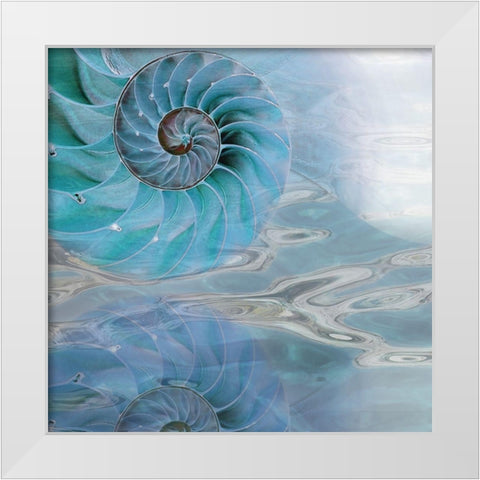 Nautilus Reflection I White Modern Wood Framed Art Print by Franklin