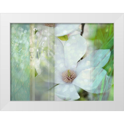 Magnolia Mist White Modern Wood Framed Art Print by Franklin