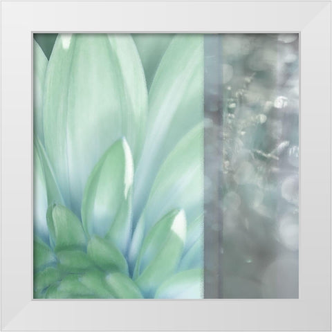 Morning Mist Square White Modern Wood Framed Art Print by Franklin