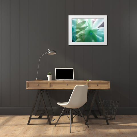 Floral Shadow White Modern Wood Framed Art Print by Franklin