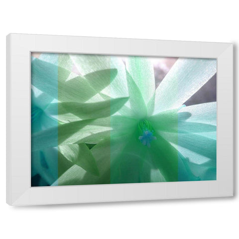 Floral Shadow White Modern Wood Framed Art Print by Franklin