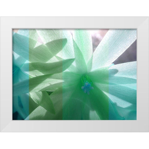 Floral Shadow White Modern Wood Framed Art Print by Franklin
