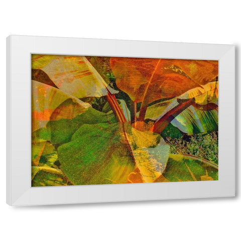 Banana I White Modern Wood Framed Art Print by Simons