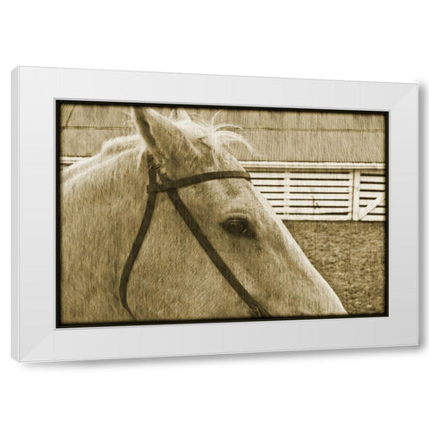 Composure White Modern Wood Framed Art Print by Simons