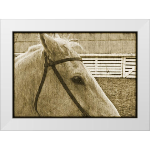 Composure White Modern Wood Framed Art Print by Simons