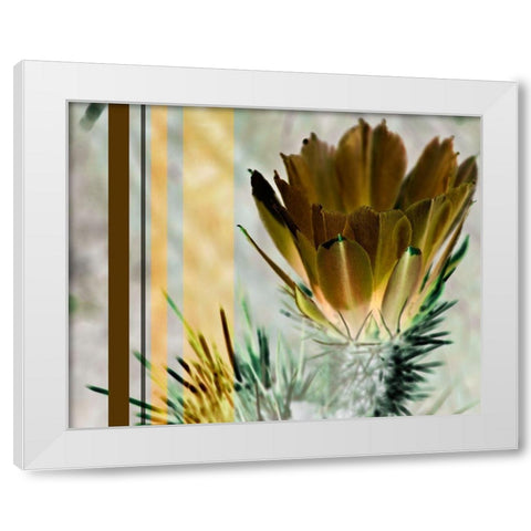 Desert Flower White Modern Wood Framed Art Print by Simons