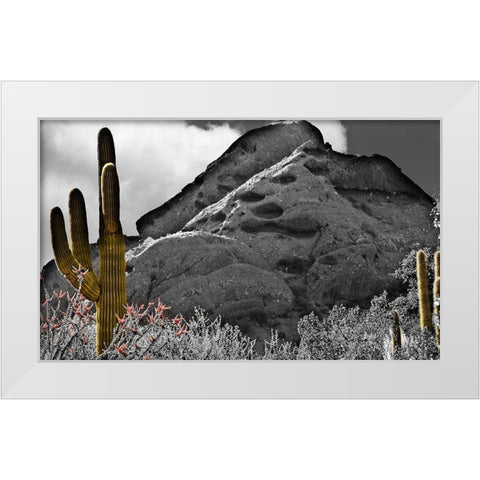 Desert View White Modern Wood Framed Art Print by Simons