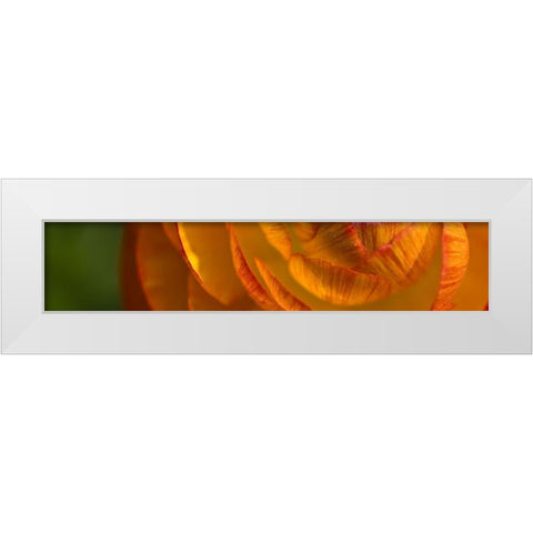 Flower Slice Orange II White Modern Wood Framed Art Print by Simons