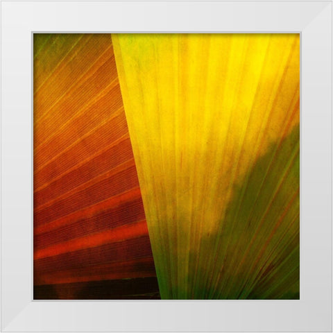 Fondly I White Modern Wood Framed Art Print by Simons