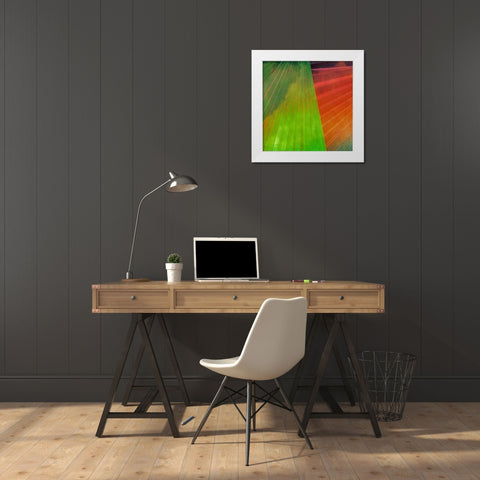 Fondly II White Modern Wood Framed Art Print by Simons