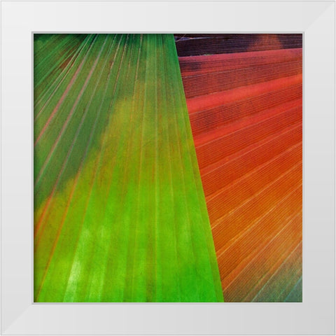 Fondly II White Modern Wood Framed Art Print by Simons