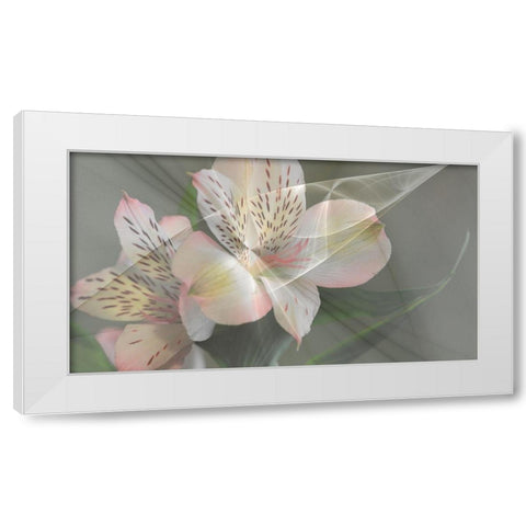 Illusion in Pink White Modern Wood Framed Art Print by Simons