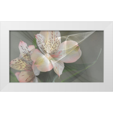 Illusion in Pink White Modern Wood Framed Art Print by Simons