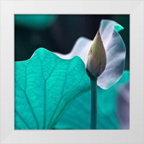 Renu White Modern Wood Framed Art Print by Simons