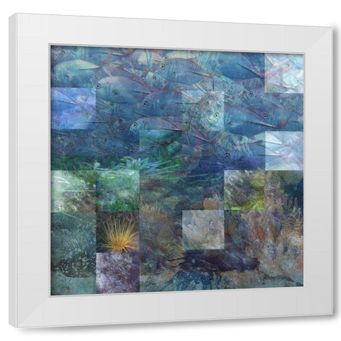 Schools In White Modern Wood Framed Art Print by Simons