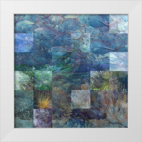 Schools In White Modern Wood Framed Art Print by Simons