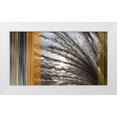 Sunlit Amber I White Modern Wood Framed Art Print by Simons