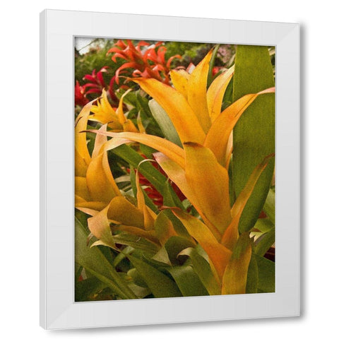 Tropical Sunshine I White Modern Wood Framed Art Print by Simons