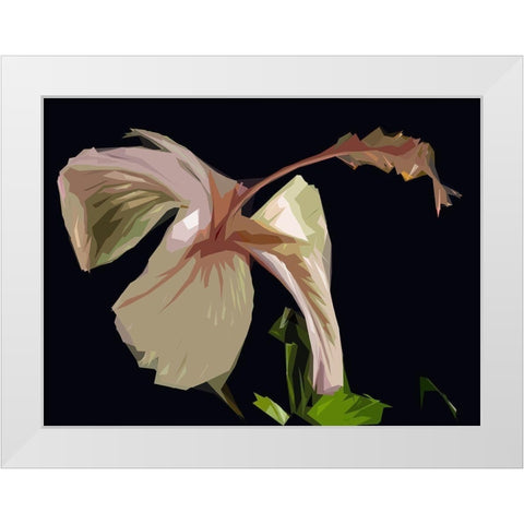 Cameo Hibiscis White Modern Wood Framed Art Print by Mack