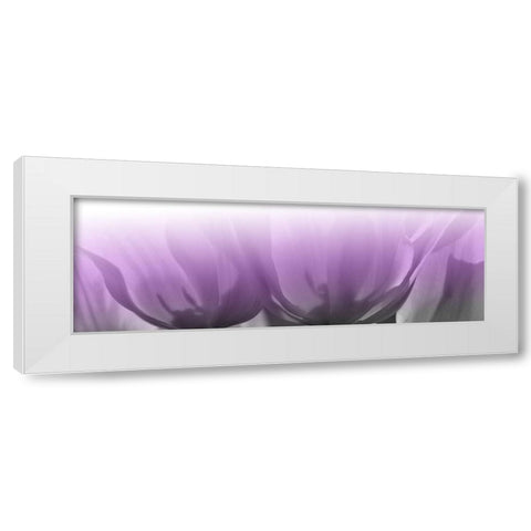 Transparant Lips White Modern Wood Framed Art Print by Phillip, Jamie