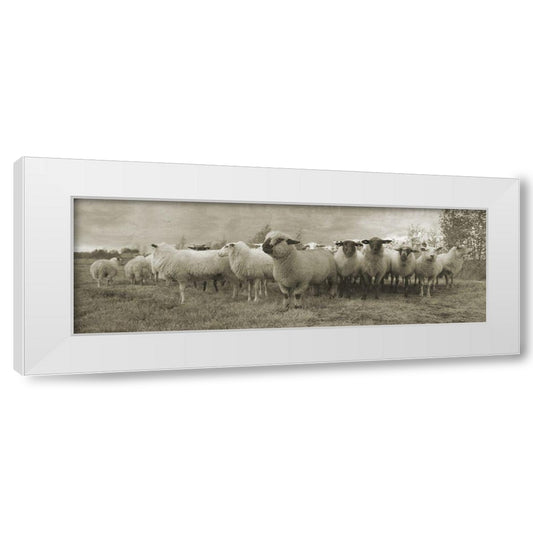 Perspective Image