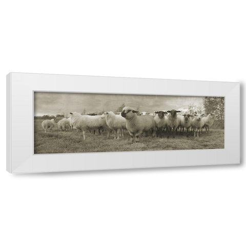 Pasture Graze 2 White Modern Wood Framed Art Print by Phillip, Jamie