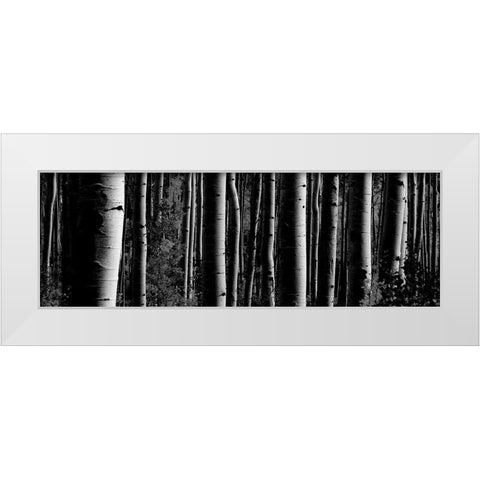 Love Tree 2 White Modern Wood Framed Art Print by Phillip, Jamie