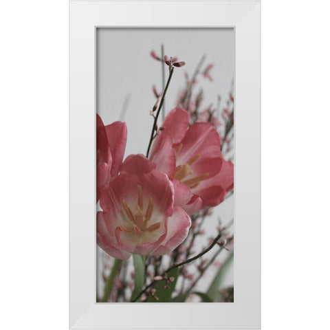 Planet tulip White Modern Wood Framed Art Print by Phillip, Jamie