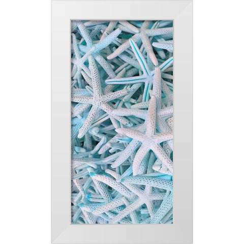 Beach Star 1 White Modern Wood Framed Art Print by Phillip, Jamie