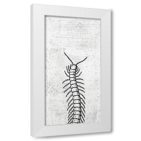 Spring Bug White Modern Wood Framed Art Print by Phillip, Jamie