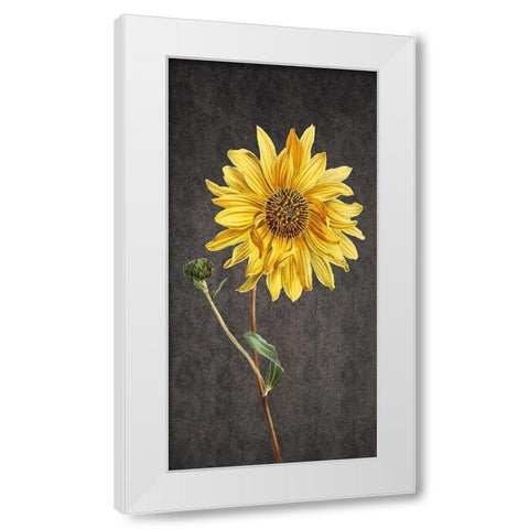 Botanic White Modern Wood Framed Art Print by Phillip, Jamie