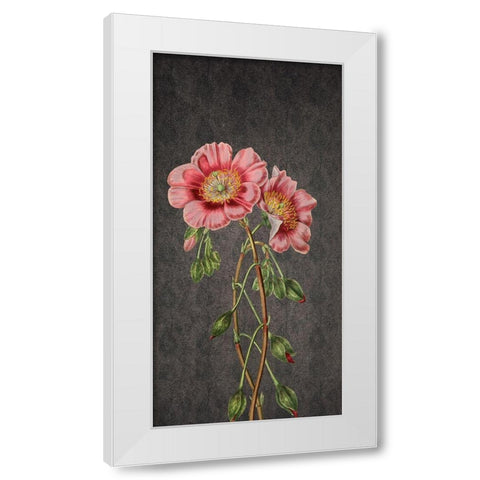 Garden White Modern Wood Framed Art Print by Phillip, Jamie