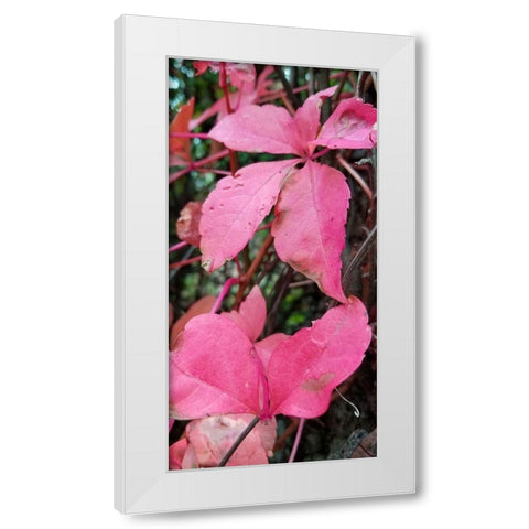 Blending Bloom 1 White Modern Wood Framed Art Print by Phillip, Jamie
