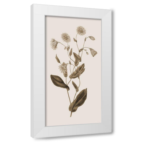 Toned Botanical White Modern Wood Framed Art Print by Phillip, Jamie