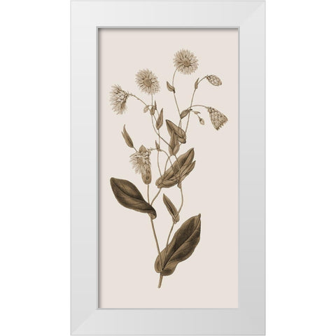 Toned Botanical White Modern Wood Framed Art Print by Phillip, Jamie