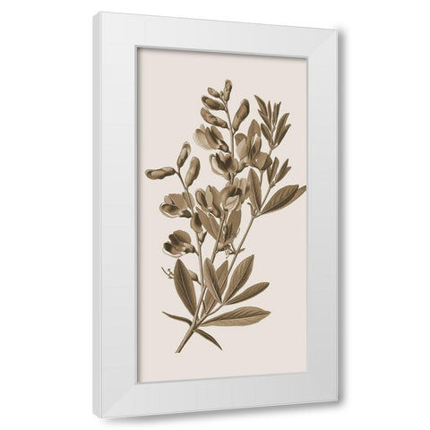Toned Botanical 2 White Modern Wood Framed Art Print by Phillip, Jamie