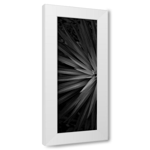 Lush 1 White Modern Wood Framed Art Print by Phillip, Jamie