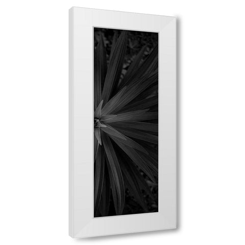 Lush 2 White Modern Wood Framed Art Print by Phillip, Jamie