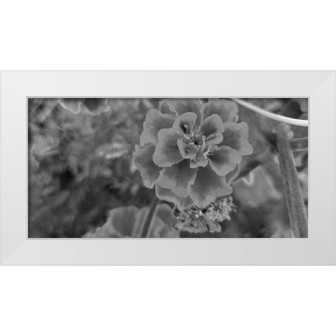 Flow 2 White Modern Wood Framed Art Print by Phillip, Jamie