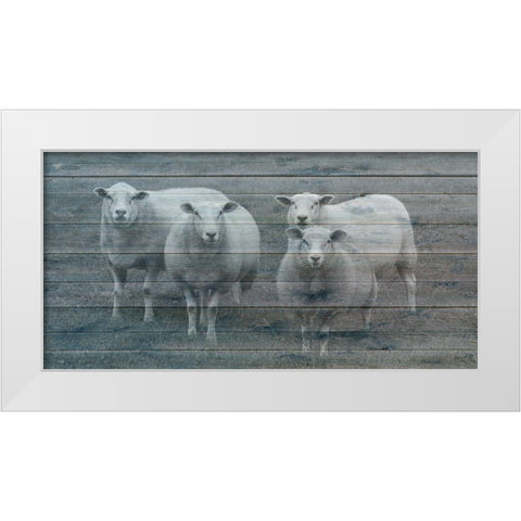 Sheepish 1 White Modern Wood Framed Art Print by Phillip, Jamie