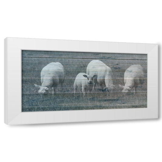 Perspective Image